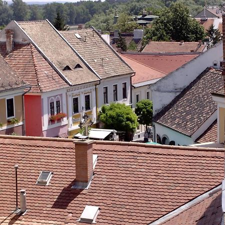 Nr 100 Szentendre Hotel Panzio Szolgaltatasok المظهر الخارجي الصورة